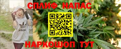 прущие грибы Бузулук